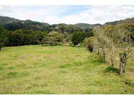  Terreno (Parcela) en venta en Retiro, Antioquia, Retiro