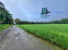 3 Schlafzimmer Haus zu verkaufen in Baru, Chiriqui, Progreso, Baru