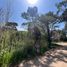  Land for sale in Villa Gesell, Buenos Aires, Villa Gesell