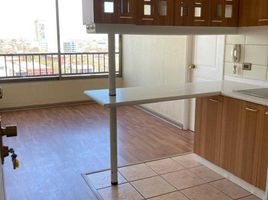 1 Bedroom Apartment for rent in Santiago Santiago, Santiago, Santiago, Santiago