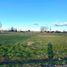 Terreno (Parcela) en venta en Chile, Entre Lagos, Osorno, Los Lagos, Chile