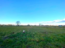  Terreno (Parcela) en venta en Chile, Entre Lagos, Osorno, Los Lagos, Chile