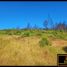  Land for sale in Santa Juana, Biobío, Santa Juana