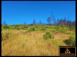  Terreno (Parcela) en venta en Concepción, Biobío, Santa Juana, Concepción