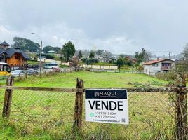  Terreno (Parcela) en venta en Chile, Puerto Octay, Osorno, Los Lagos, Chile