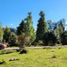  Land for sale in Chile, Aisen, Aisen, Aisen Del General Carlos Ibanez Del Campo, Chile