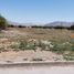  Terreno (Parcela) en venta en Colina, Chacabuco, Colina