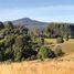  Terreno (Parcela) en venta en Los Ríos, Rio Bueno, Ranco, Los Ríos