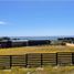 3 Habitación Casa en venta en Cardenal Caro, Libertador General Bernardo O'Higgins, Pichilemu, Cardenal Caro