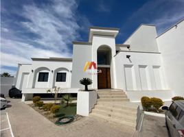 1 Schlafzimmer Appartement zu vermieten in Hermosillo, Sonora, Hermosillo, Sonora
