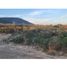  Land for sale in Mixquiahuala De Juarez, Hidalgo, Mixquiahuala De Juarez
