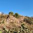  Land for sale in Tlanalapa, Hidalgo, Tlanalapa