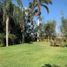 4 chambre Maison for sale in Medellin, Veracruz, Medellin