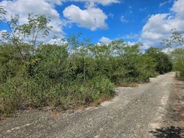  Grundstück zu verkaufen in Yaxkukul, Yucatan, Yaxkukul