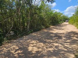  Grundstück zu verkaufen in Yaxkukul, Yucatan, Yaxkukul
