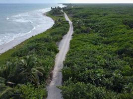  Terreno (Parcela) en venta en Bocas del Toro, Guabito, Changuinola, Bocas del Toro