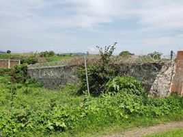  Land for sale in Ixtlahuacan De Los Membrillos, Jalisco, Ixtlahuacan De Los Membrillos