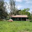  Land for sale in Ixtlahuacan De Los Membrillos, Jalisco, Ixtlahuacan De Los Membrillos