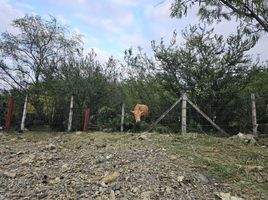  Land for sale in Allende, Nuevo Leon, Allende