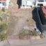  Grundstück zu verkaufen in Chihuahua, Chihuahua, Chihuahua, Chihuahua