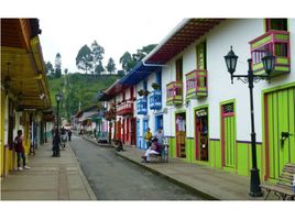  Land for rent in Salento, Quindio, Salento