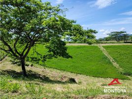  Terreno (Parcela) en venta en Ulloa, Valle Del Cauca, Ulloa