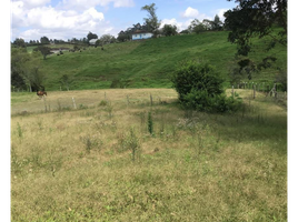  Land for sale in El Carmen De Viboral, Antioquia, El Carmen De Viboral