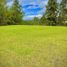  Land for sale in Rionegro, Antioquia, Rionegro