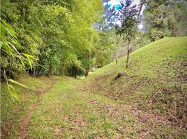  Land for sale in Rionegro, Antioquia, Rionegro