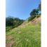  Land for sale in Palestina, Caldas, Palestina