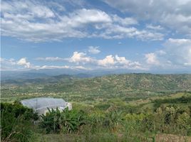  Land for sale in Palestina, Caldas, Palestina