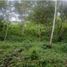  Land for sale in Villeta, Cundinamarca, Villeta