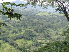  Land for sale in Villeta, Cundinamarca, Villeta