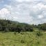  Land for sale in Villeta, Cundinamarca, Villeta