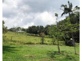  Land for sale in Villeta, Cundinamarca, Villeta