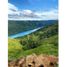  Land for sale in Samana, Caldas, Samana