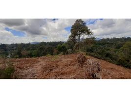  Land for sale in El Carmen De Viboral, Antioquia, El Carmen De Viboral