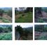 Terrain à vendre à Manizales, Caldas, Manizales, Caldas