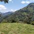  Terreno (Parcela) en venta en Cocorna, Antioquia, Cocorna