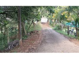  Land for sale in Cali, Valle Del Cauca, Cali