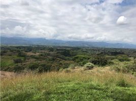  Land for sale in Pereira, Risaralda, Pereira