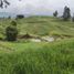 Terrain à vendre à Marinilla, Antioquia, Marinilla