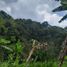  Grundstück zu verkaufen in Santa Rosa De Cabal, Risaralda, Santa Rosa De Cabal