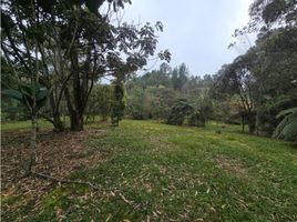  Terreno (Parcela) en venta en Envigado, Antioquia, Envigado