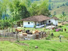 3 chambre Villa for sale in Montenegro, Quindio, Montenegro