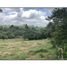  Land for sale in Filandia, Quindio, Filandia