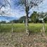  Terreno (Parcela) en venta en La Tebaida, Quindio, La Tebaida