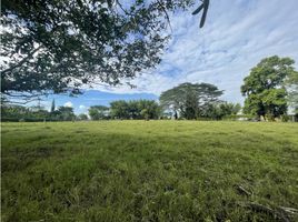  Terreno (Parcela) en venta en La Tebaida, Quindio, La Tebaida