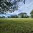  Land for sale in La Tebaida, Quindio, La Tebaida