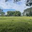  Terreno (Parcela) en venta en La Tebaida, Quindio, La Tebaida